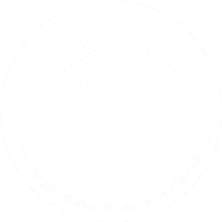 Fahrzeugaufbereitung Aurich